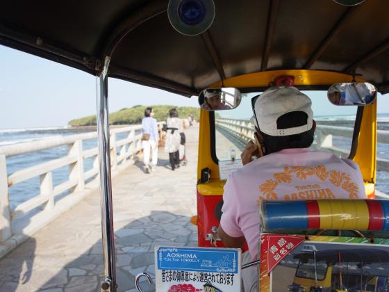 aoshima tuk tuk torolly